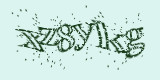 Проверочный код